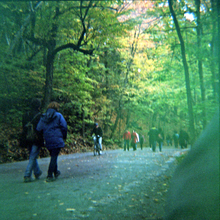 People walking in the park