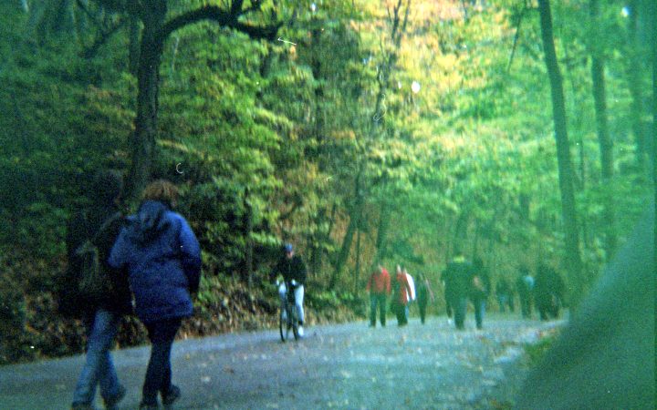 People walking in the park